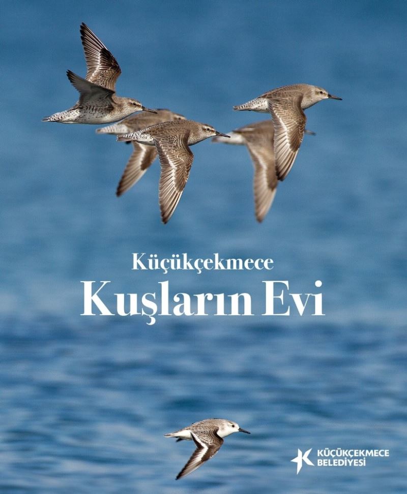 Küçükçekmece Belediyesinden, ‘Küçükçekmece - kuşların evi’ eseri
