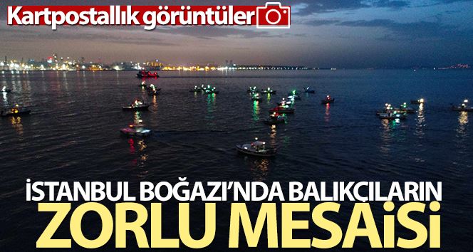 (Özel) İstanbul Boğazında balıkçıların zorlu mesaisi