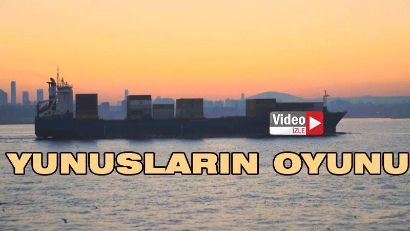 (Özel) Yunusların dev gemilerle oyunu