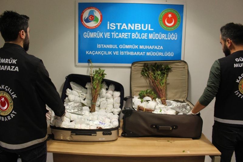 İstanbul Havalimanı’nda 208 kilogram Khat cinsi uyuşturucu ele geçirildi