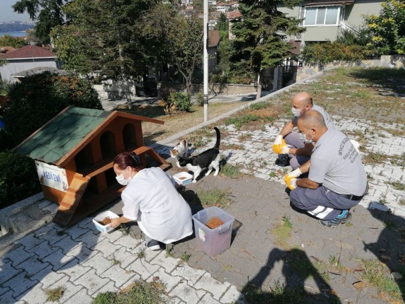 Beykoz Belediyesi 4 Ekim Hayvanları Koruma Gününde sokak hayvanlarını unutmadı
