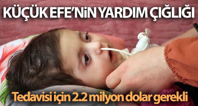 Efe bebeğin tedavisi için 2.2 milyon dolar gerekli