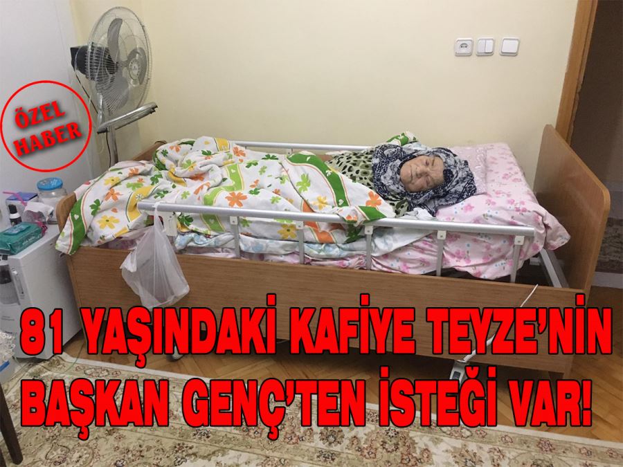 Kafiye Teyze Başkan Genç