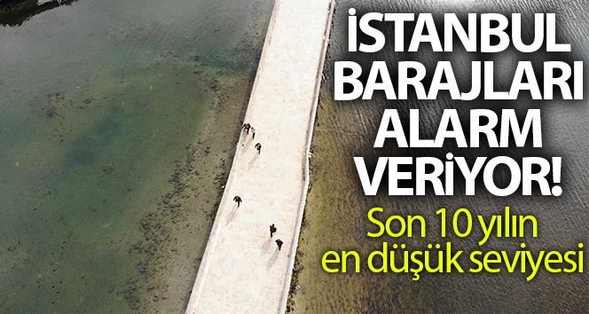 (Özel) İstanbul barajlarındaki su kalitesi alarm veriyor