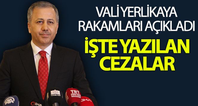 Vali Yerlikaya, 