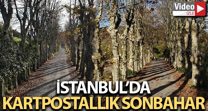 İstanbul’da ’kartpostallık sonbahar’ havadan görüntülendi