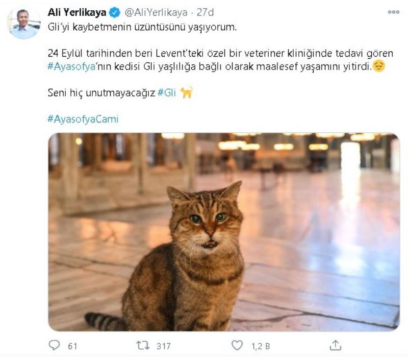 Ayasofya’nın sembol kedisi Gli hayatını kaybetti
