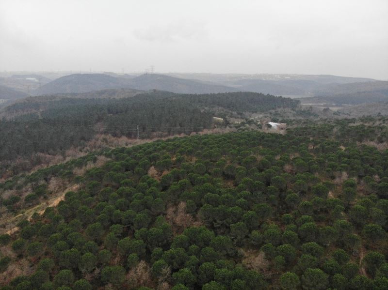 (Özel) Kemerburgaz Kent Ormanı’nda renk cümbüşü
