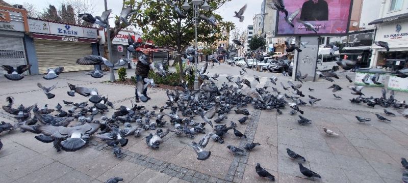 Silivri’de aç kalan güvercinleri polis besledi
