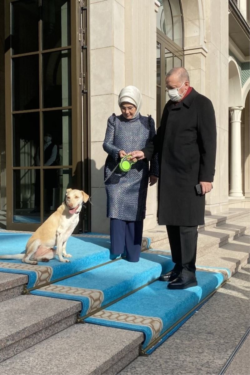 Emine Erdoğan, Cumhurbaşkanı Erdoğan’ı “Leblebi” ile birlikte uğurladı
