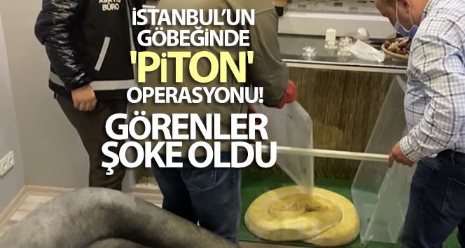 İstanbul’un göbeğinde “piton” operasyonu kamerada