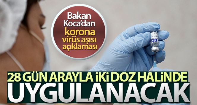 Bakan Koca: 