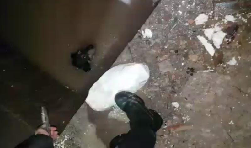 (Özel) Polisin, içi su dolu asansör boşluğuna düşen köpeği kurtarma operasyonu kamerada
