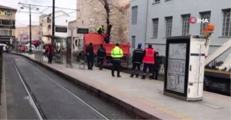 Gülhane’de ağaç devrilmesi nedeniyle tramvay seferleri aksadı