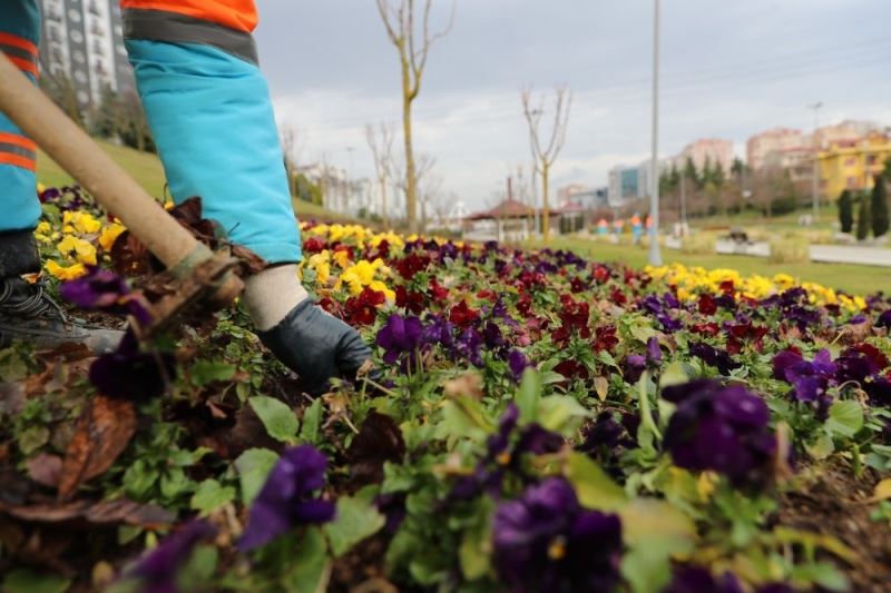 Bahçelerde kış bakımı önerisi
