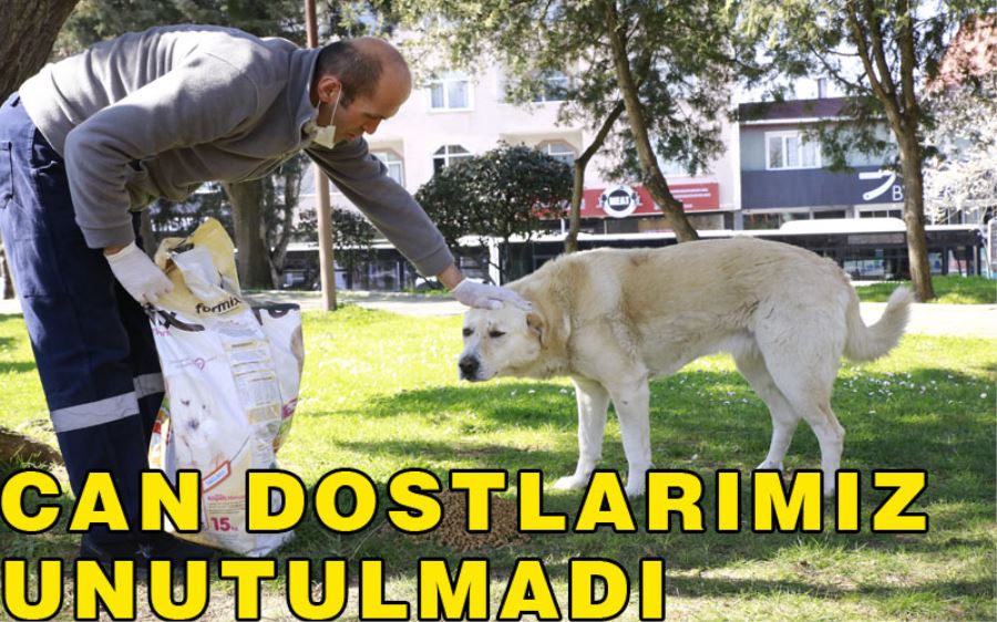 Can Dostlarımız Unutulmadı