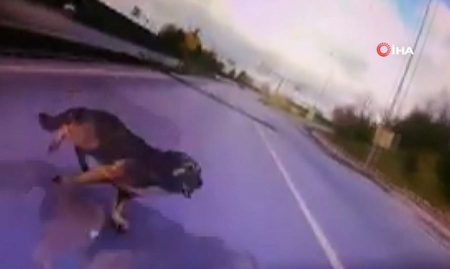 Boş yolda köpeğe çarpan motosiklet sürücüsü ölüm ile burun buruna geldi