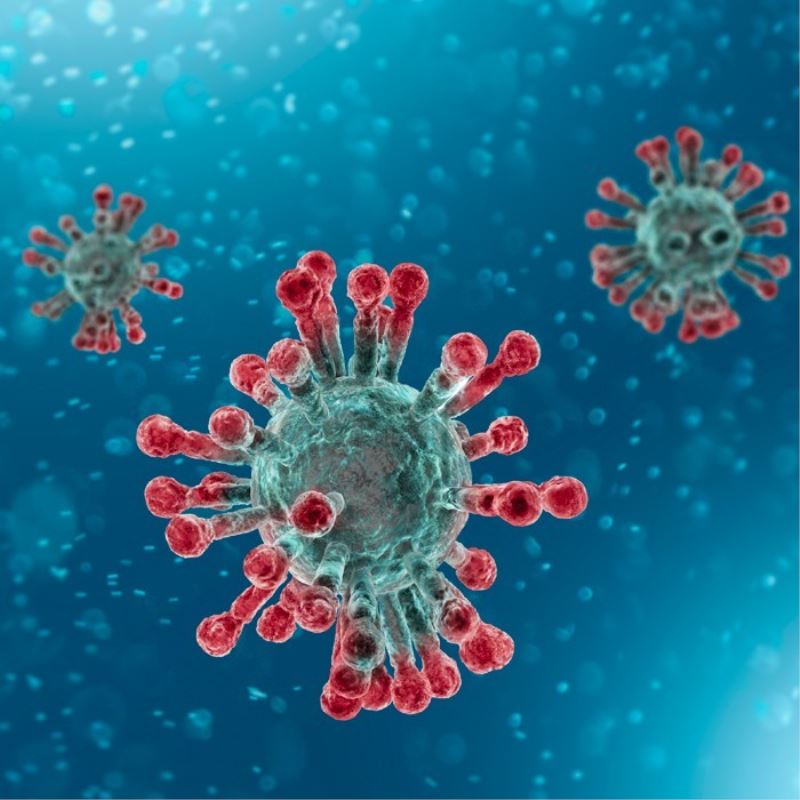 Koronavirüsün medya karnesi

