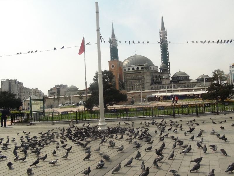 Taksim Meydanı kuşlara kaldı
