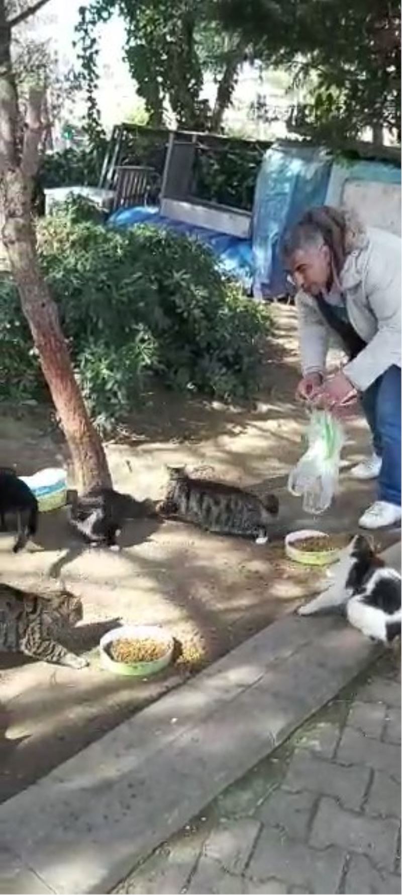 (Özel) Hayvansever, sokak hayvanlarını beslemek için evinden çıktı
