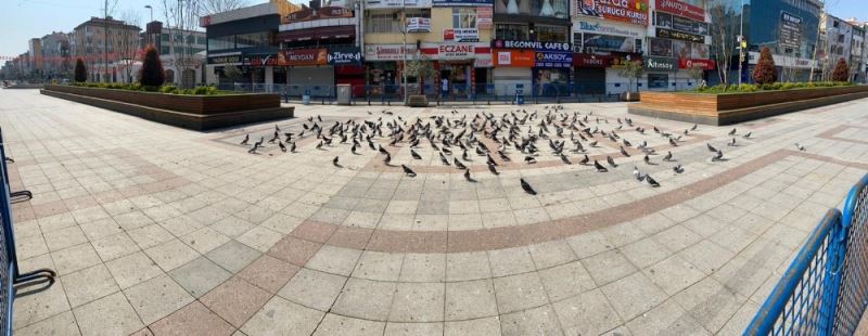 Sokağa çıkma yasağından sonra Sultanbeyli Meydanı güvercinlere kaldı

