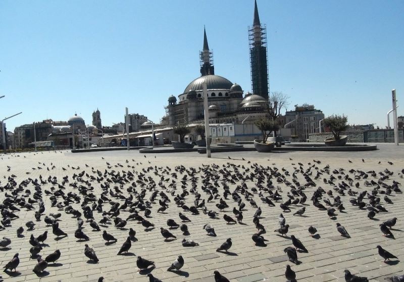 Sokağa çıkma yasağında Taksim Meydanı kuşlara kaldı
