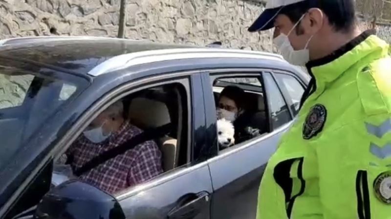(Özel) Köpeğini ameliyata götüren çiftle polisin diyaloğu dikkat çekti
