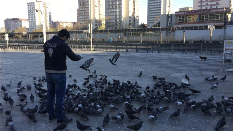 (Özel) Sokağa çıkma kısıtlamasında polis aç kalan güvercinleri elleriyle besledi
