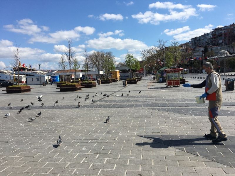 Üsküdar Belediyesi ekipleri kuşları ve sokak hayvanlarını elleriyle besledi
