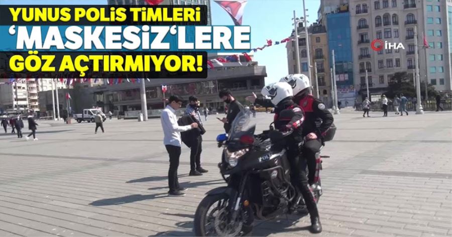 (Özel) Taksim’de yunuslar maskesiz dolaşanlara göz açtırmıyor