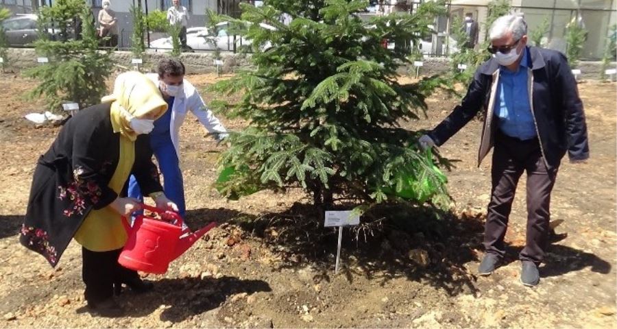 Sancaktepe’de 400 sağlık çalışanı annenin adına Sahra Hastanesi’ne fidan dikildi