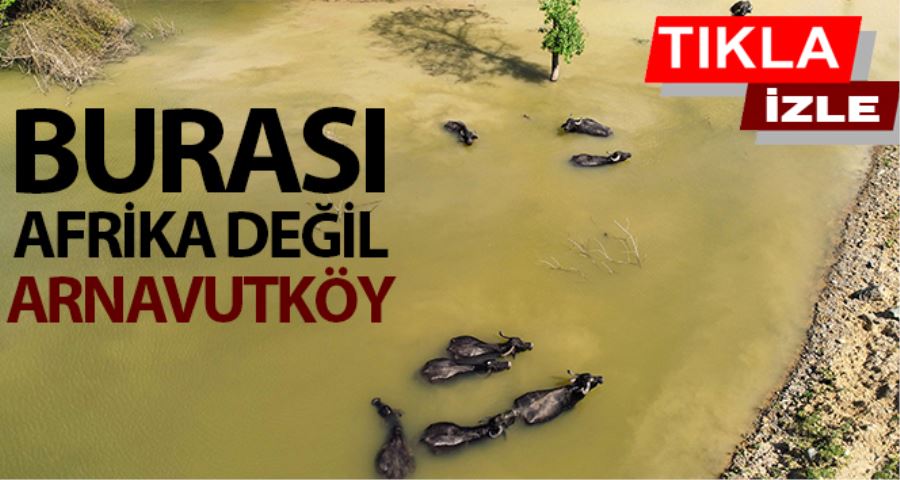 (ÖZEL)Burası Afrika değil Arnavutköy