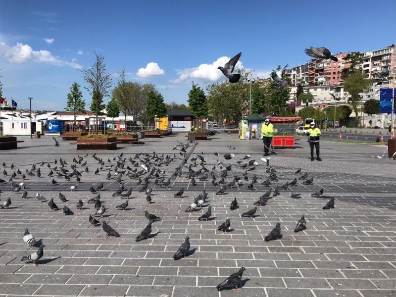 Trafik polisleri sokağa çıkma kısıtlamasında güvercinleri unutmadı
