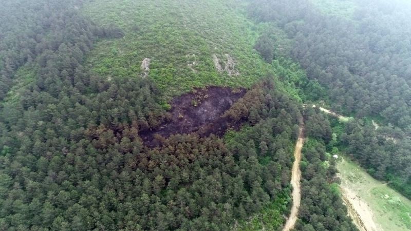 Aydos’ta yanan ormanlık alan havadan görüntülendi
