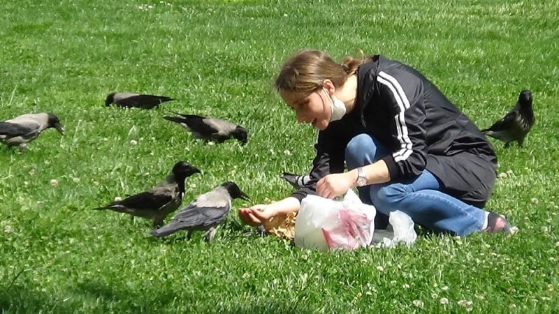 (Özel) 3 yıldır elleriyle beslediği kargayı kısıtlama günlerinde de aç bırakmadı
