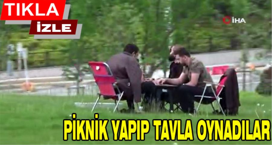 (ÖZEL) İstanbul’da şaşırtan görüntü: E-5’in yanı başında piknik yapıp tavla oynadılar