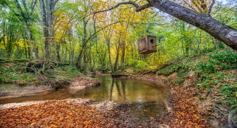 Sosyal mesafeli tatil: Bu yazı çadırda geçiriyoruz
