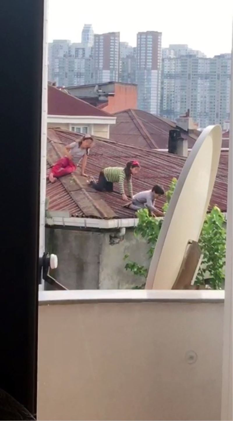 (Özel) Binanın çatısında dut toplayan çocuklar yürekleri ağızlara getirdi