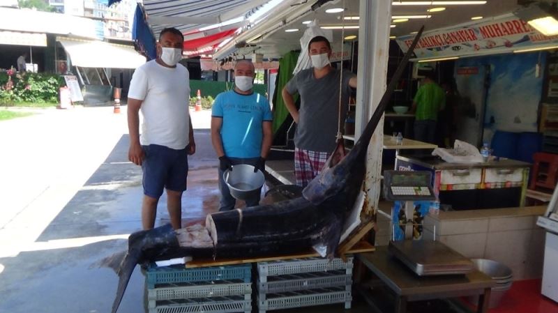 2.5 metrelik dev kılıç balığı Saroz’da yakalandı