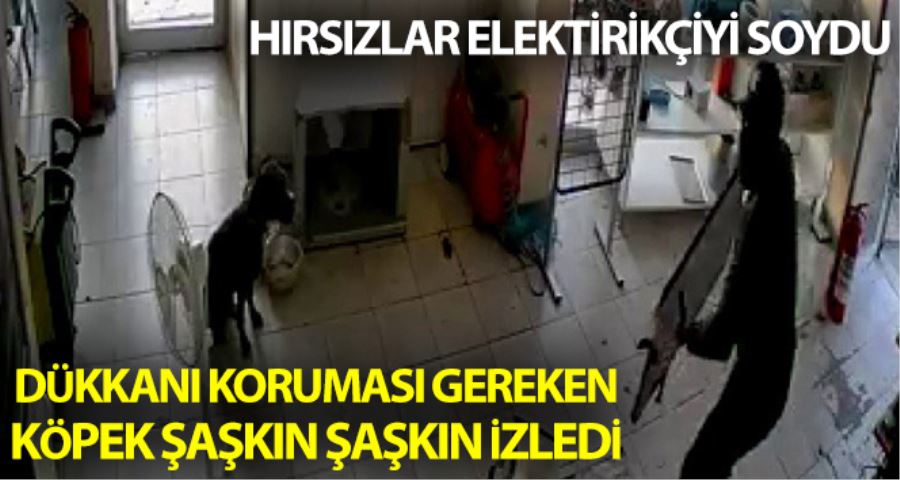 (Özel) Üsküdar’da hırsızlar elektrikçiyi soydu, dükkan içerisindeki köpek ise olayı şaşkınlıkla izledi