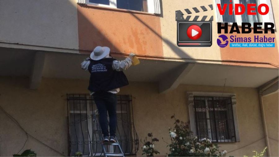 Arılar apartman duvarına yuva yaptı