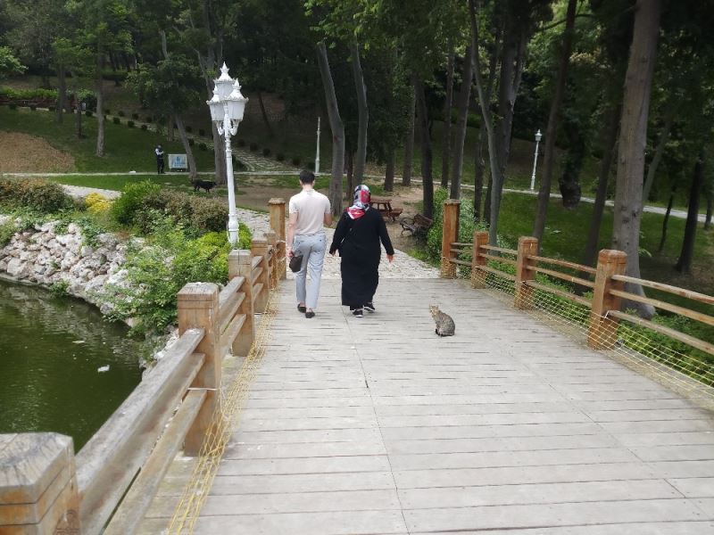 Parklar ve ormanlar yeniden ziyarete açıldı