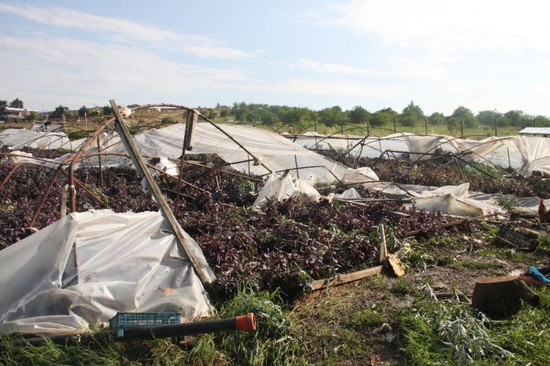 (Özel) Hortumun vurduğu seralar drone ile görüntülendi