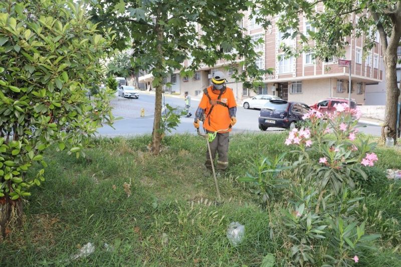 Yeşilpınar Mahallesi’nde yazlık bakım çalışmaları gerçekleştirildi
