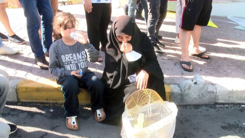 Dehşetin yaşandığı binadan 2 kuş kurtarıldı
