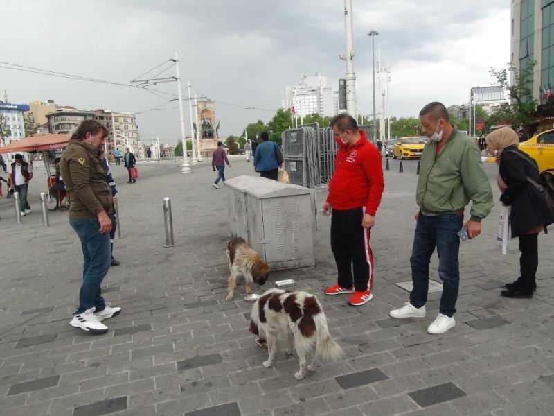 (ÖZEL) Taksim’de ayağı kırılan köpek için vatandaşlar seferber oldu