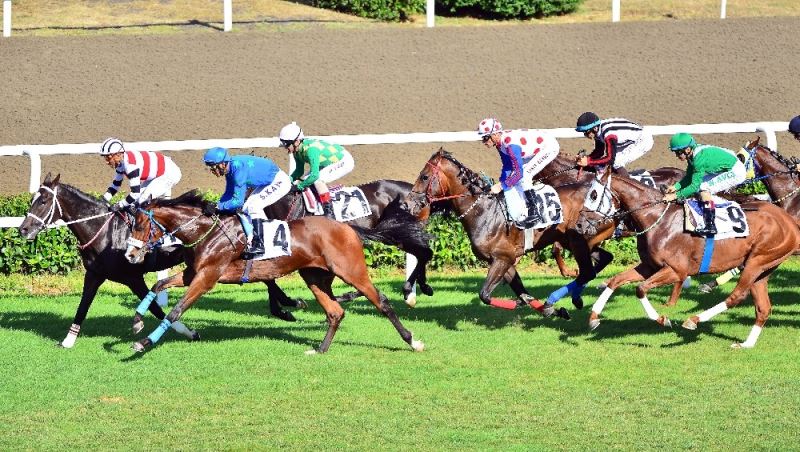 At yarışlarında heyecan yarın başlayacak
