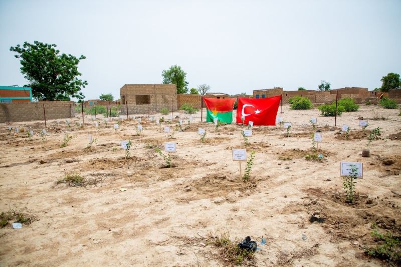 İDDEF’ten Afrika’da fidan seferberliği
