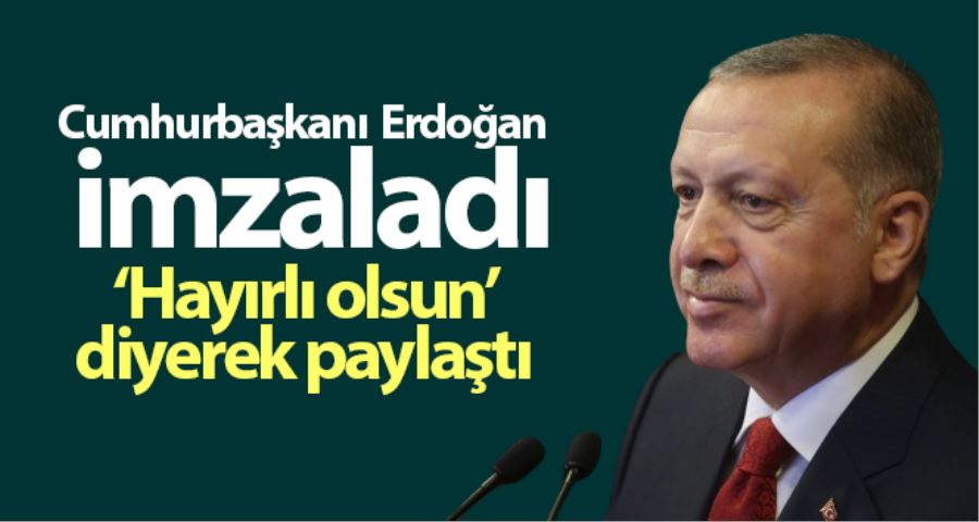 Cumhurbaşkanı Erdoğan, Danıştay