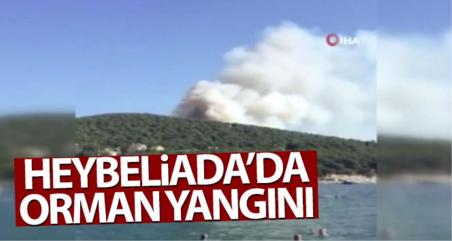 İstanbul Heybeliada’da orman yangını çıktı. Yangına karadan ve havadan ekipler tarafından müdahale ediliyor.